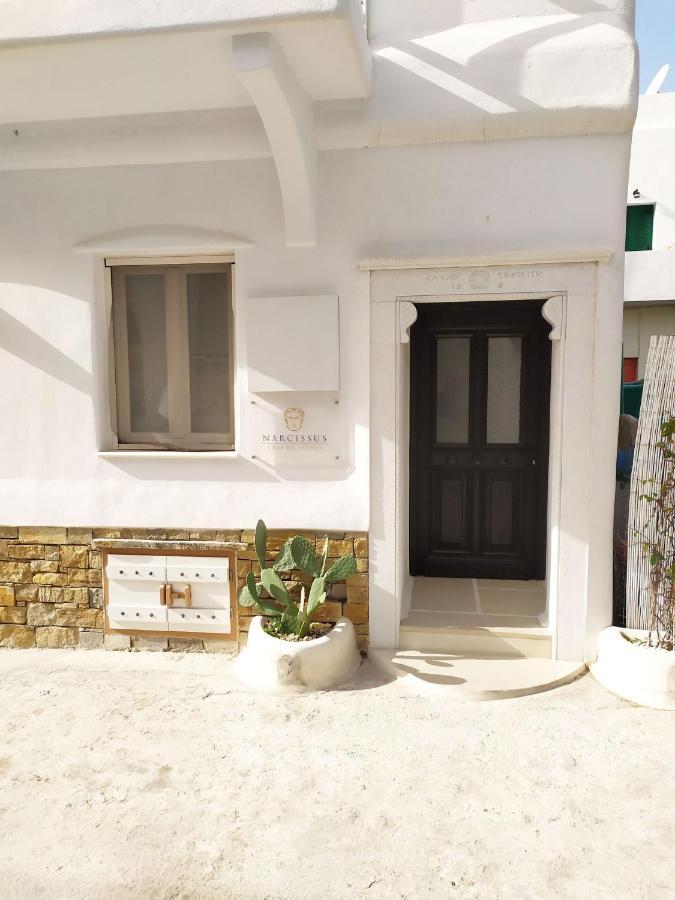 Naxos City Narcissus Luxury Suites מראה חיצוני תמונה
