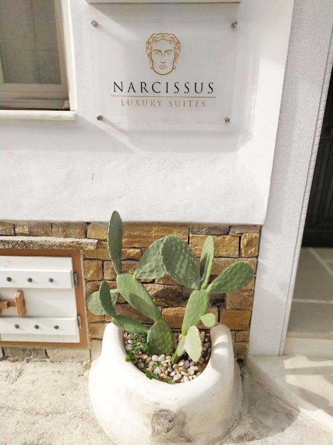 Naxos City Narcissus Luxury Suites מראה חיצוני תמונה